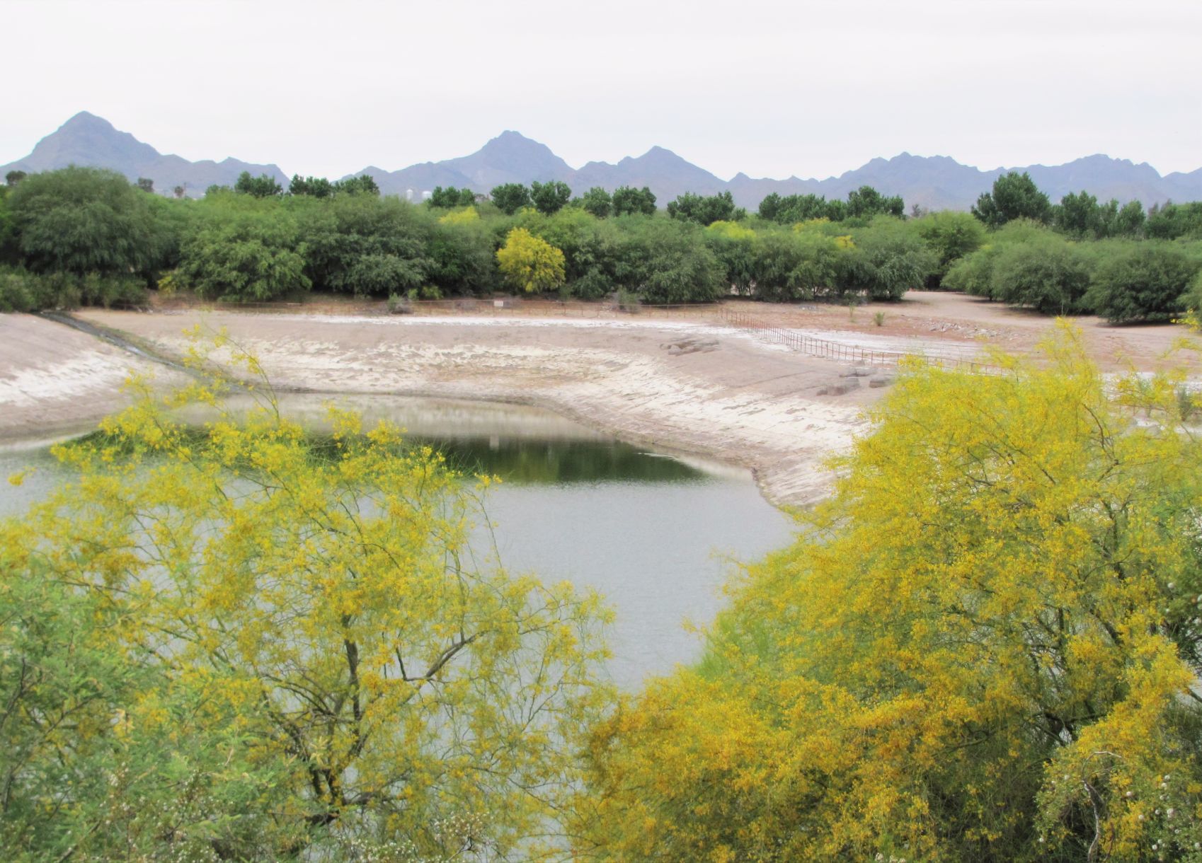 Unusually low water